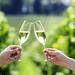 Penedes Wine and Cava Day Tour from Barcelona