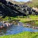 Landmannalaugar Super Jeep Tour from Reykjavik