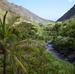 Maui Day Trip: Haleakala, Iao Valley, Old Lahaina from Oahu