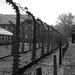 7 Hour Private Auschwitz Tour from Krakow
