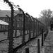 Auschwitz and Birkenau Tour from Krakow