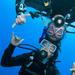 PADI Discover Scuba Diving Program in the Riviera Maya