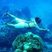Cozumel Snorkeling Tour from Cancun and Riviera Maya