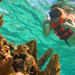 Full-Day Snorkeling Adventure from Cancun and Riviera Maya