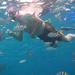 Punta Nizuc Snorkeling Experience in Cancun