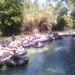 Dunn's River Falls and White Water Tubing