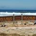 Cape Town Shore Excursion: Cape Peninsula Tour