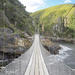 Excursión de un día al Parque Nacional de Tsitsikamma desde Knysna