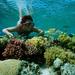 Snorkel Trip from Sharm El-Naga Bay Hurghada