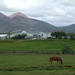 Icelandic Horse Riding