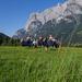 Private Tour: The Sound of Music Ultimate Experience in Salzburg
