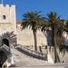 Korcula and Peljesac with Wine Tasting Day Trip from Dubrovnik