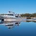 3-Day Expedition of Bathurst Harbour, Port Davey On-Board MV Odalisque from Hobart