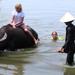 Farming and Fishing Life in Hoi An