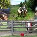 3-Day Horseback Riding Vacation in Ottawa Valley