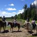 Horseback Trail Ride and Lesson 