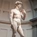 Florence Walking Tour Including Accademia Gallery