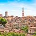 Independent Trip to Siena from Florence with Private Transport