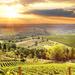 Private Best of Chianti Classico Tour two Delicious Wine Tastings and three charming Medieval Villages with Wine and Dine in the Chianti vineyards