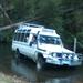 Wombat State Forest Nocturnal 4WD Tour from Melbourne