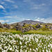 Day Trip to the Snæfellsnes Peninsula from Reykjavik - The Wonders of Snaefellsnes