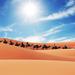 Merzouga Camel Trek for an Overnight in desert