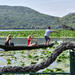 Slow Food Tour and Fisherman Boat trip Lake Skadar