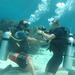 2-Day Scuba Diver Course in Hat Yai
