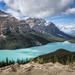 1-Day Photography Adventure in the Canadian Rockies