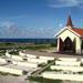 Discover Aruba Half-Day Tour