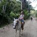 Horseback-Riding Tour from Paraty