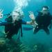 Paraty Scuba Diving Beginner's Course
