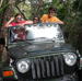 Waterfall Jungle Jeep  Adventure and Cachaca Tour from Paraty