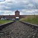 Museum Auschwitz-Birkenau Tour from Krakow with an English-Speaking Guide