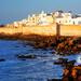 Full-Day Tour to Essaouira - The Ancient Mogador City from Marrakech