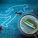 CSI Homicide Detectives Medium High Challenge