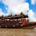 Mekong Delta Cruise Including Village Tour and Tuk Tuk Ride