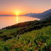 Peljesac Wine Tour