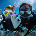 PADI Open Water Diver Course in Punta Cana