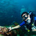 Discover Scuba Diving