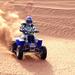 Half-Hour Dubai Desert Quad Bike or Buggy Ride from Dubai