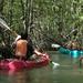 Damas Island Mangrove Kayaking Tour