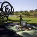 Cycle Tour Through Vineyards including Picnic: Private Day Tour from Cape Town