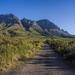 Half-day Private Hiking Tour in Helderberg Nature Reserve