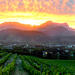 Private Franschhoek Tour from Cape Town Including Wine Tastings