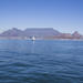 Table Mountain with Diamond Museum and Aquarium Guided Tour from Cape Town