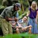 Mossman Gorge, Aboriginal Dreamtime Walk and Daintree River Crocodile Cruise Day Trip