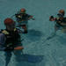 Learn to Scuba Dive- PADI Open Water Course