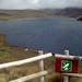 Full-Day Private Tour: Andean Condor Watching at Antisana Mica Lake from Quito