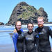 Full-Day Piha and Waitakere Eco-Tour with Surf Lesson from Auckland